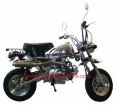 2010 Puma Colibry Le Mans 125 photo